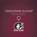 Sensi Seed, Tangerine Sugar®, 3 Seeds, Feminized-SEED334-Sensi Seeds_3.jpg