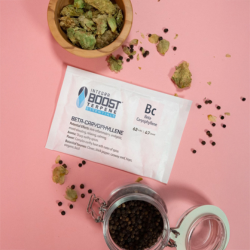 [TER62-67-CA] Integra Boost TERPENE CARIOPHYLENE 67g - 62%