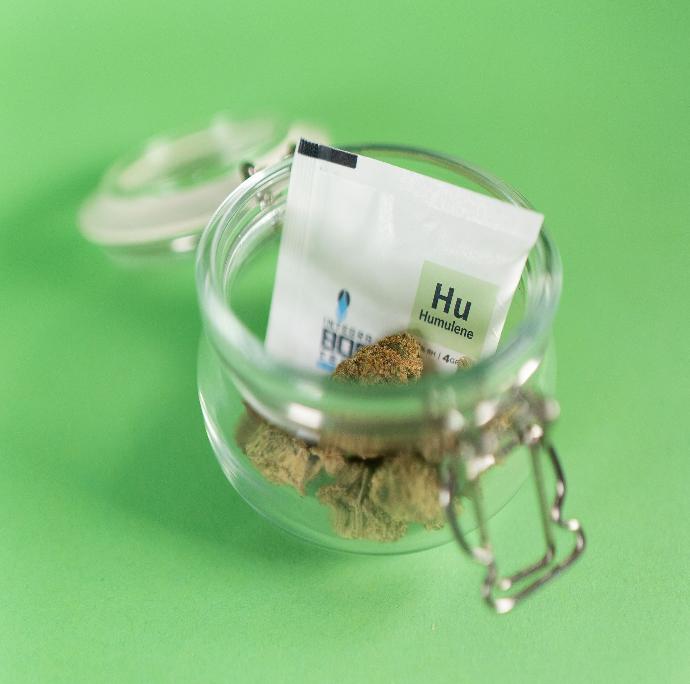 Integra Boost TERPENE HUMULENE 4g - 62% RH