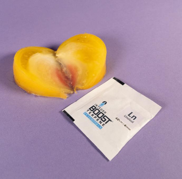 Integra Boost TERPENE LINALOOL 4g - 62% RH