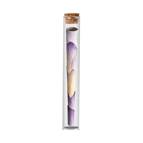 Lotus Cone, King Size, In Glass Tube, 1 Piece