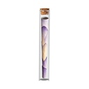Lotus Cone, King Size, In Glass Tube, 1 Piece